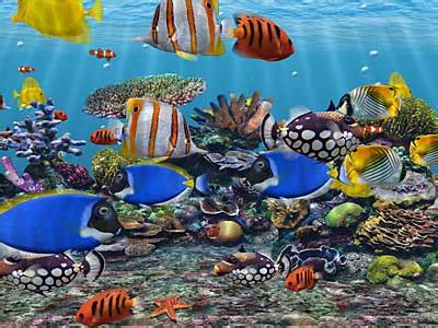 3D Fish Screensaver Free Virtual Fish Aquarium Download