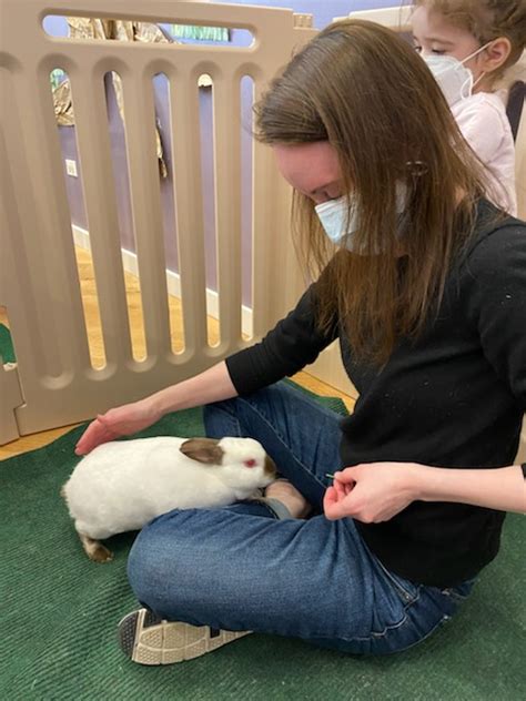 Cuddle Bunny in Chicago: Pet and Feed Bunnies