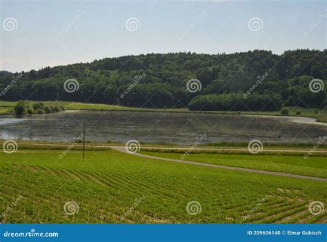 Pond for Fish Breeding and Fish Farming Stock Photo - Image of farming ...