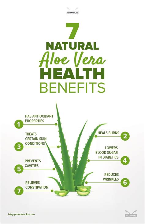 7 Natural Aloe Vera Health Benefits and Uses | PaleoHacks