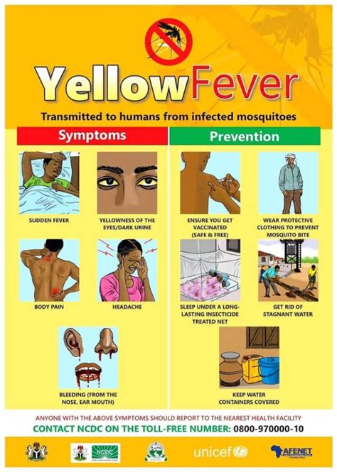 Yellow Fever Symptoms & Prevention - UBTH