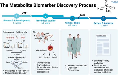 Frontiers | What clinical metabolomics will bring to the medicine of ...