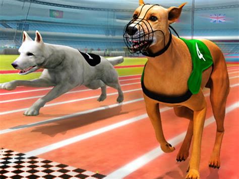 Real Dog Racing Simulator 3D - Play Online Games Free