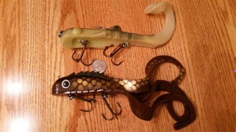 How to Catch Muskellunge (Muskies)