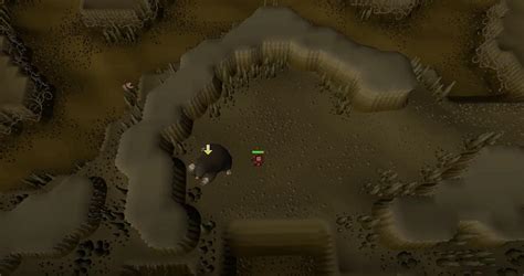 Giant Mole OSRS Guide [2022]: Go The Mole Nine Yards! - Rune Fanatics