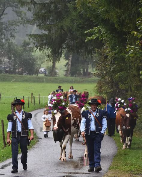 A Cow Parade – The Ultimate Cow Party — Cheese Journeys