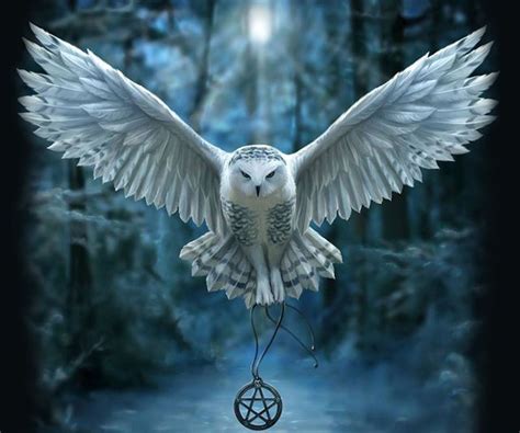 White Owl Meaning | Owl Totem And Symbolism