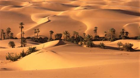 Desert Saudi Arabia Wallpapers - Top Free Desert Saudi Arabia ...