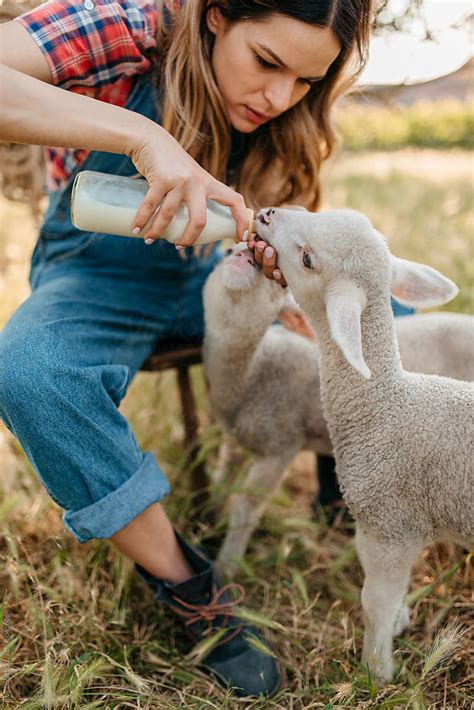 «Farm Girl Feeding Animals» del colaborador de Stocksy «Brat Co» - Stocksy