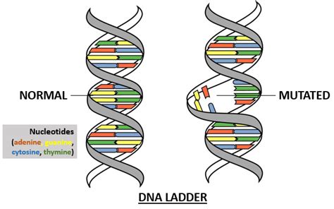 The Human DNA Debate - LewRockwell