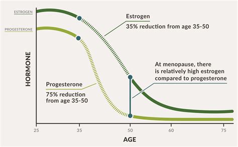 Estrogen Dominance - Energetic Nutrition