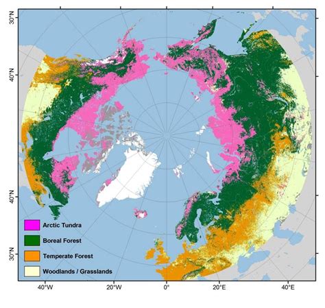 Arctic Tundra, Boreal Forests | Geography map, Historical geography ...