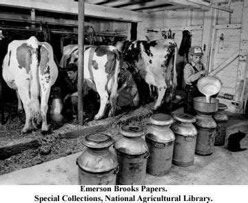 Pin on barns and 1950s farming