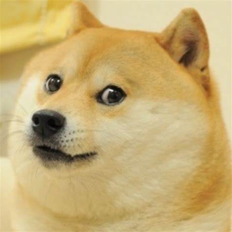 The Original Doge | Doge | Know Your Meme