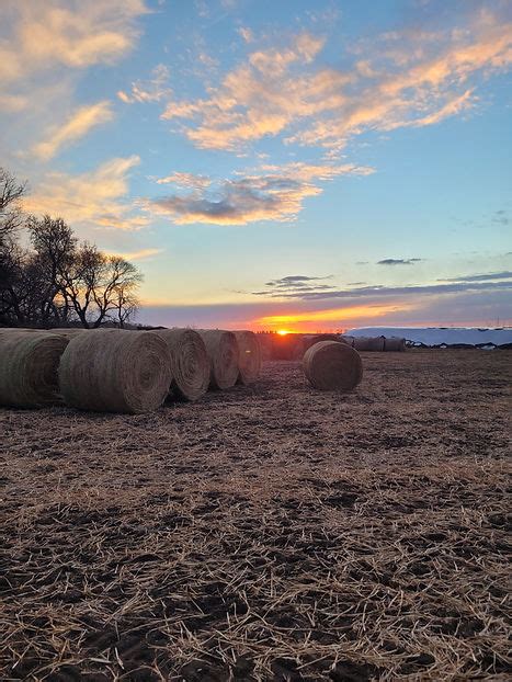 Silage Covers | Squirrel Creek Seeds