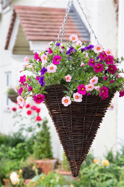 Hanging flower basket ideas | City Of