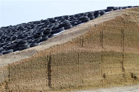 Off-season: Evaluate your silage quality, bunker performance - | Ag Proud