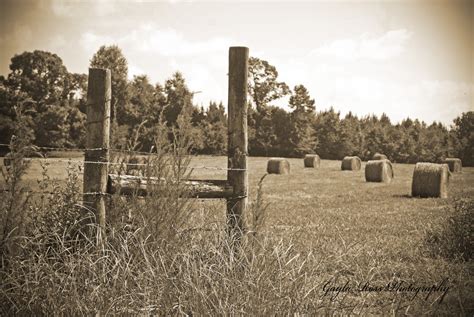 Hay Field Photography,hay Bale Photography,wooden Fence Post ...