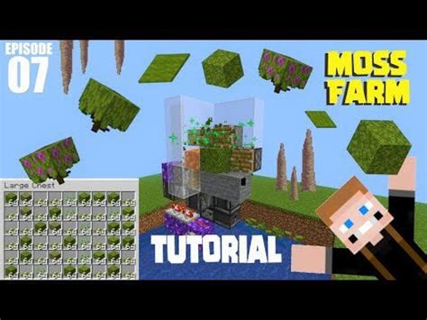 Moss Farm! : r/MinecraftInventions