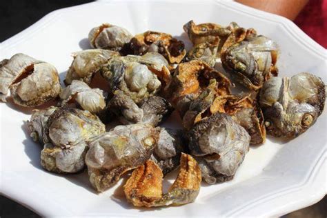 Cebu Eats: Danggit, Cebu’s Famous Dried Fish