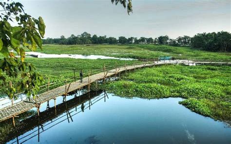 About River Island Majuli, Location, Tourist Activities & Facts