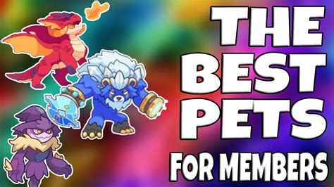 Prodigy Math Game | The BEST PETS in Prodigy! (For Members) - YouTube