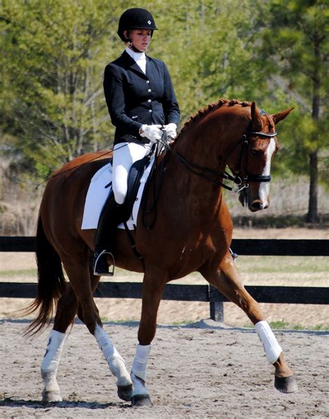 Boyd and Silva Martin: Last Dressage Show in the Sunny South!