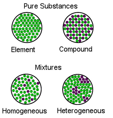 Biology: Homogeneous vs. Heterogeneous Mixtures - Expii