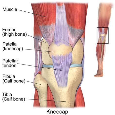 First Aid for Kneecap Dislocation