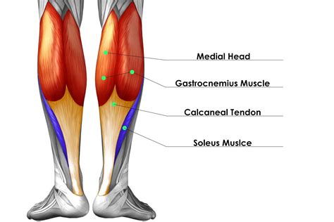 Pin on Exercises