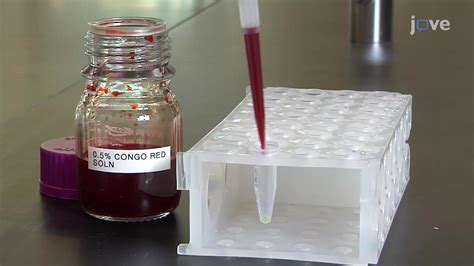 Congo Red Staining: A Technique to Visualize Cellulose Deposits in ...