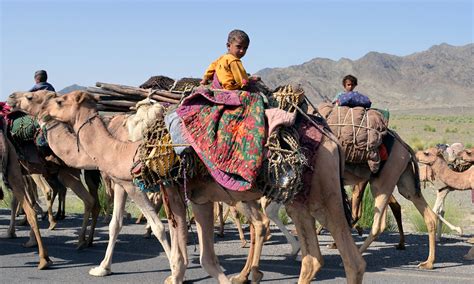 A wandering life: Afghan nomads make Balochistan home - Multimedia ...