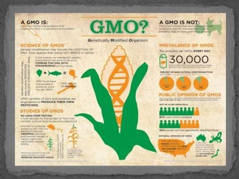 Ethics gmo, ecology, environemnental problems