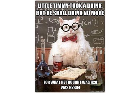 Best of Chemistry Cat - Science Meme