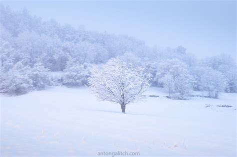 [OC] Winter scene from Switzerland : MostBeautiful