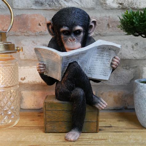 Monkey Reading the News