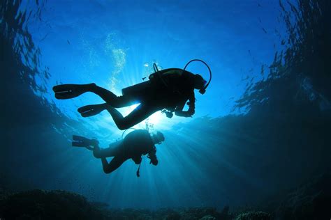 4K Ultra HD Scuba diving Wallpapers | Background Images