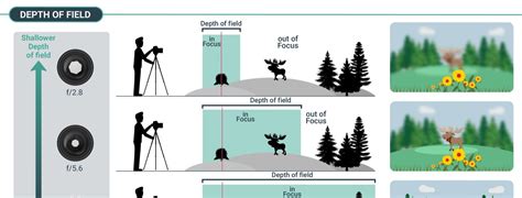 what is aperture in photography and how to affect depth of field