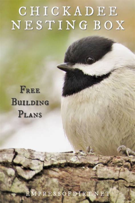 Make a Chickadee Nesting Box (Free Plans) — Empress of Dirt | Bird ...