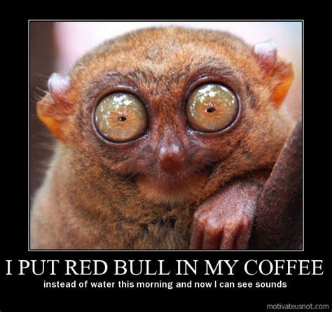 I put Red Bull in my coffee instead of water this morning and now I can ...