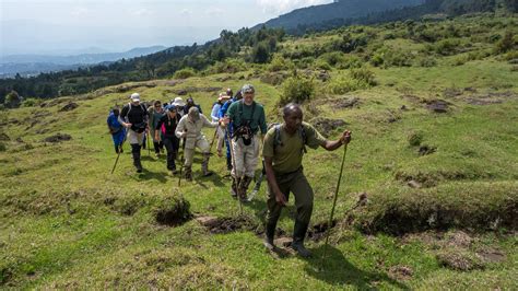 Hiking mount Bisoke in Rwanda | Mount Bisoke Hike | Rwanda Safaris