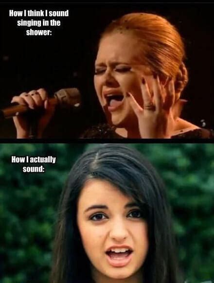 28 Adele Hello Meme Pictures Because You Really Didn't Hear That Song ...