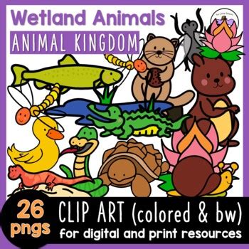 Freshwater Wetland Animals Clip Art Wetlands Science Clipart | TPT