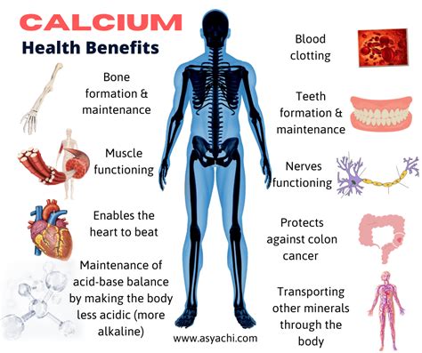 Calcium Health Benefits - Asya Chi | Author & Holistic Health Therapist