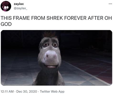 THIS FRAME FROM SHREK FOREVER AFTER OH GOD | Staring Donkey | Know Your ...