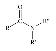 Amide | Structure, Functional Group Bond & Examples - Video & Lesson ...