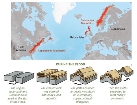 Noah’s Lost World | Answers in Genesis