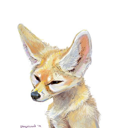 Vulpes zerda, digital drawing by me : r/foxes