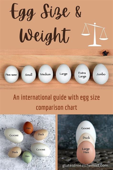 Egg Size and Weight – An international guide with egg size comparison chart