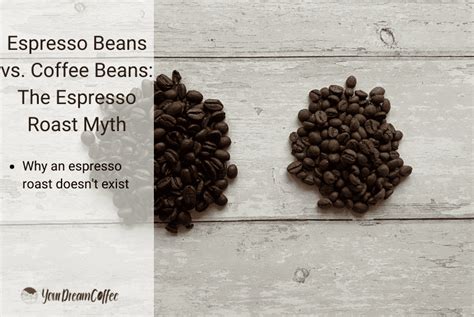 Espresso Beans vs. Coffee Beans: The Espresso Roast Myth